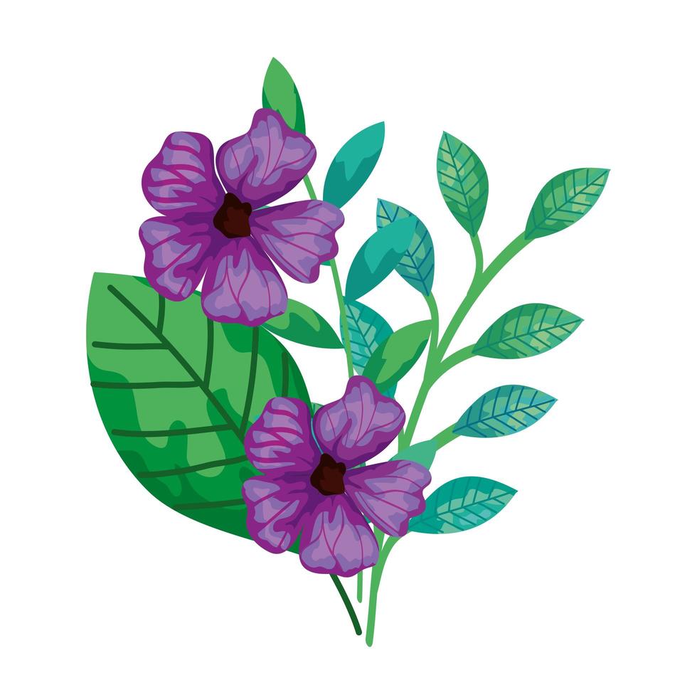 niedliche Blumen lila mit Zweigen und Blättern isolierte Ikone vektor