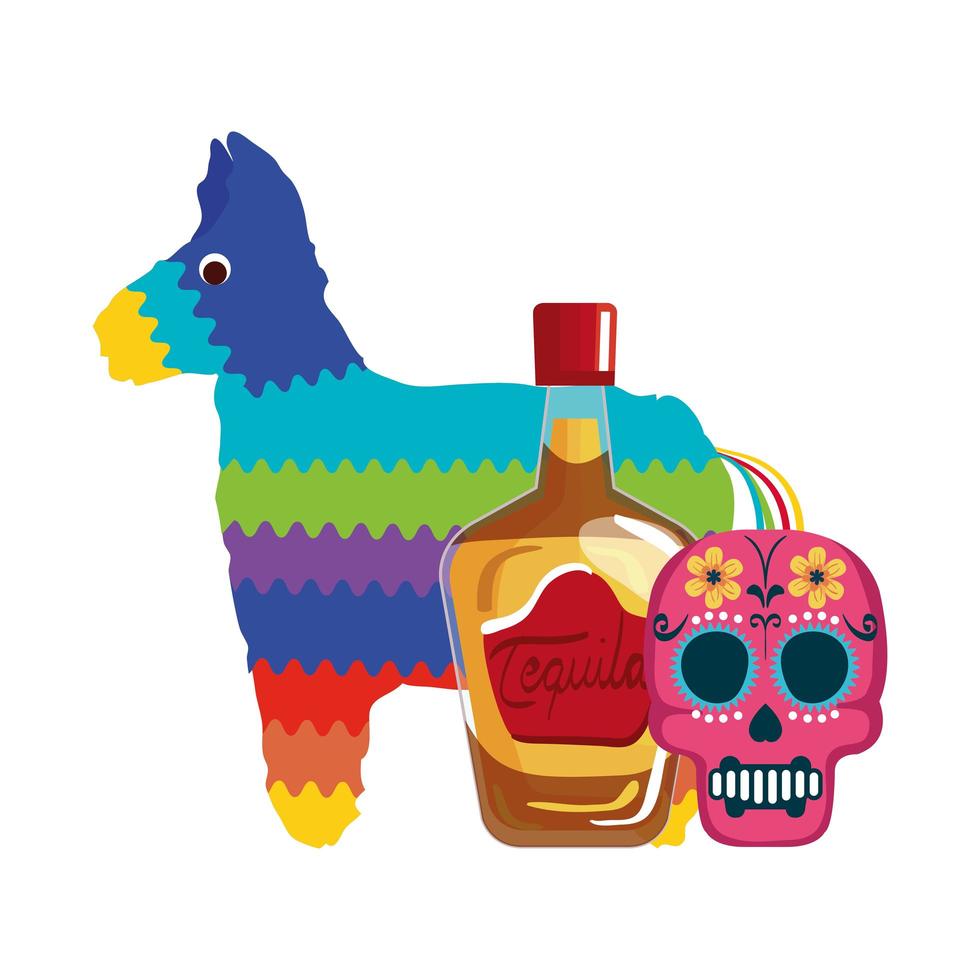 isolierte mexikanische Tequila Flasche Pinata und Schädel Vektor Design