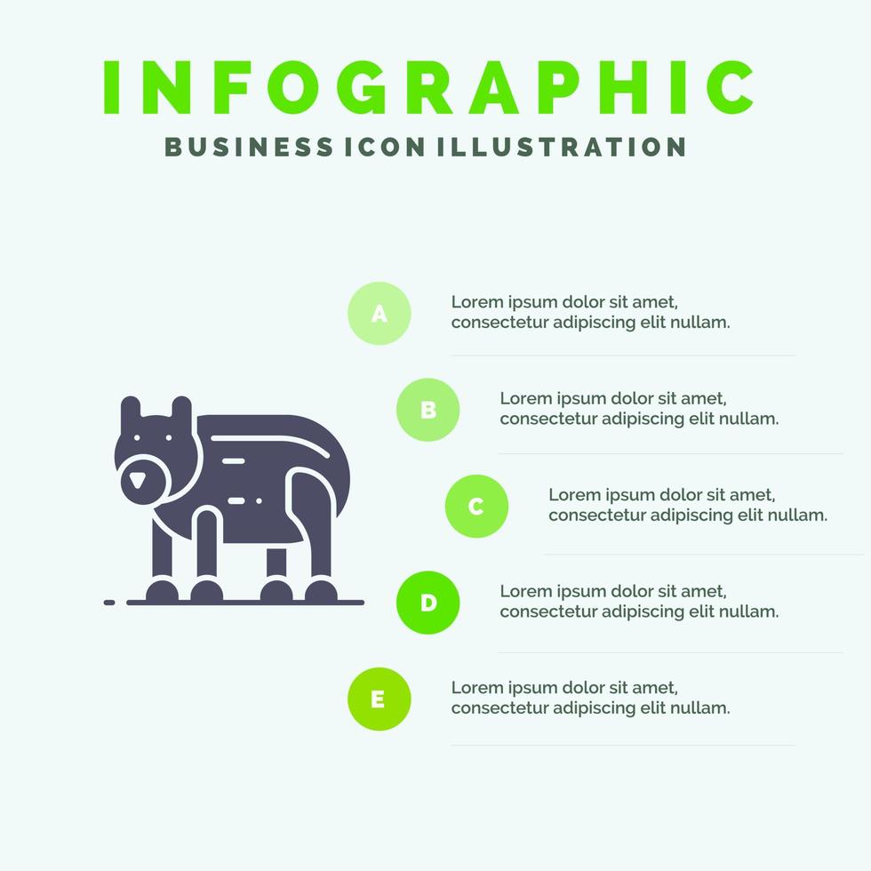 djur- Björn polär kanada fast ikon infographics 5 steg presentation bakgrund vektor