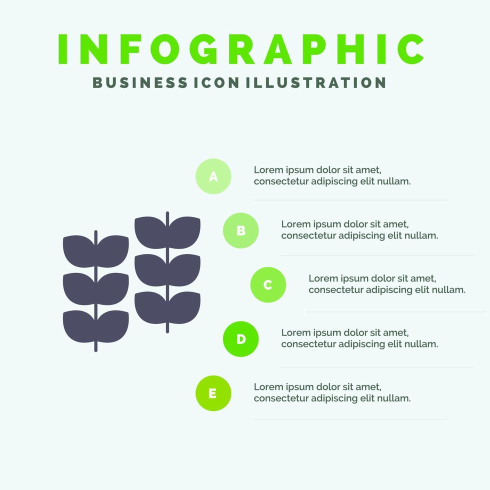 växt blad växt tillväxt fast ikon infographics 5 steg presentation bakgrund vektor
