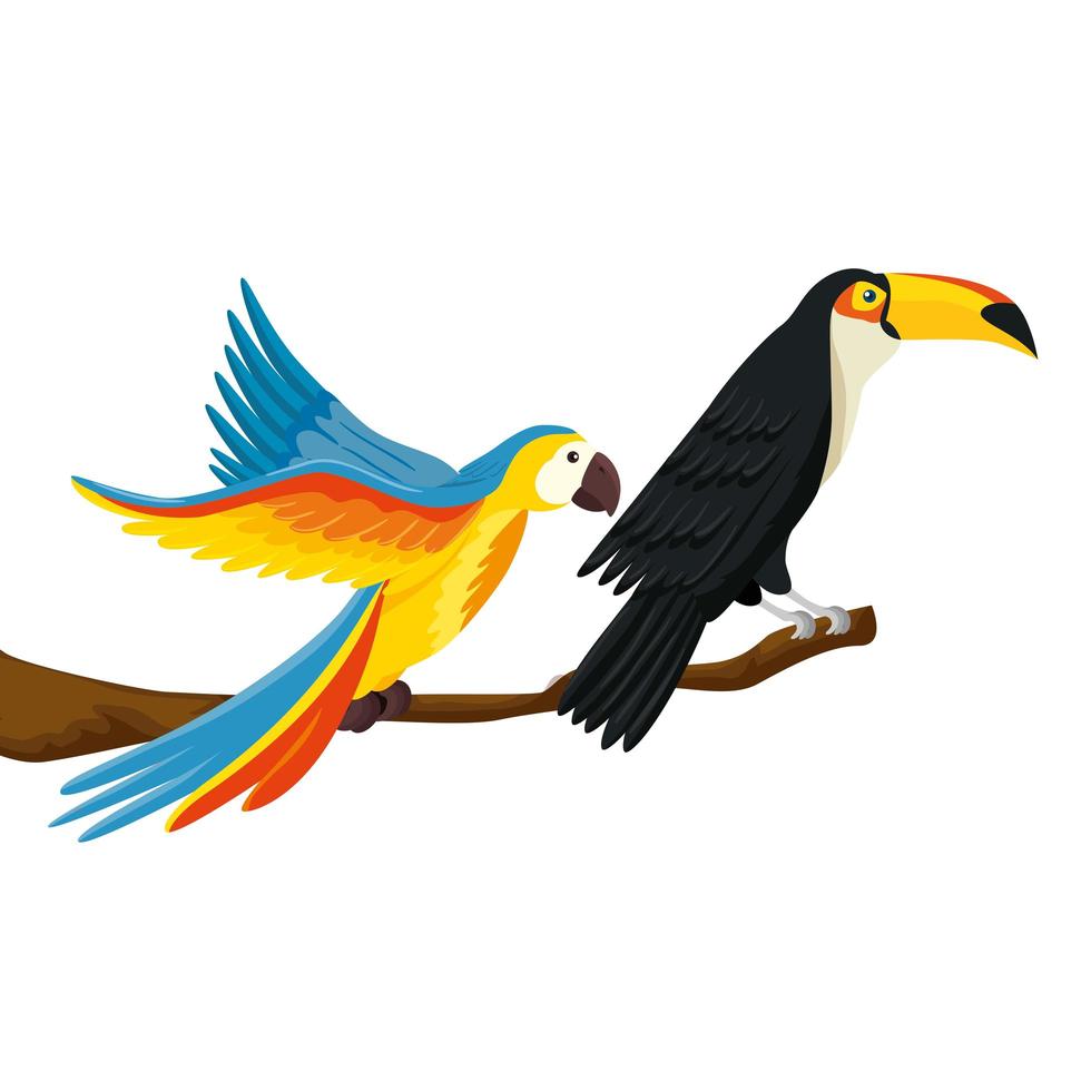 papegoja med tukan på gren isolerad ikon vektor