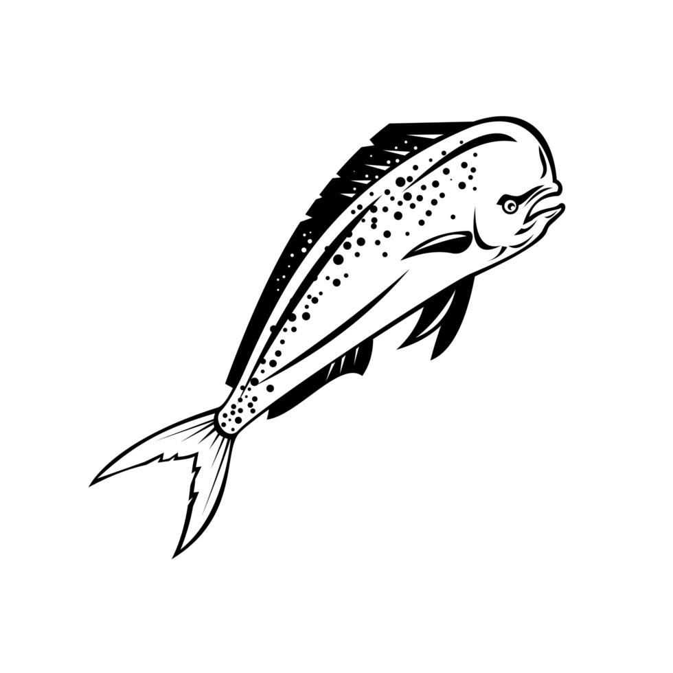 Mahi-Mahi oder gemeiner Delphinfisch vektor