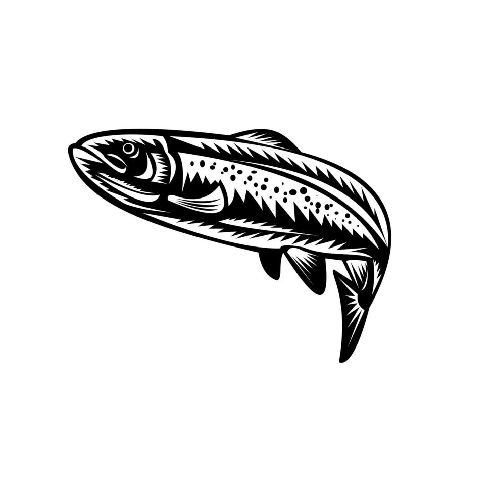 prickig öring fisk hoppning träsnitt retro svart och vitt vektor