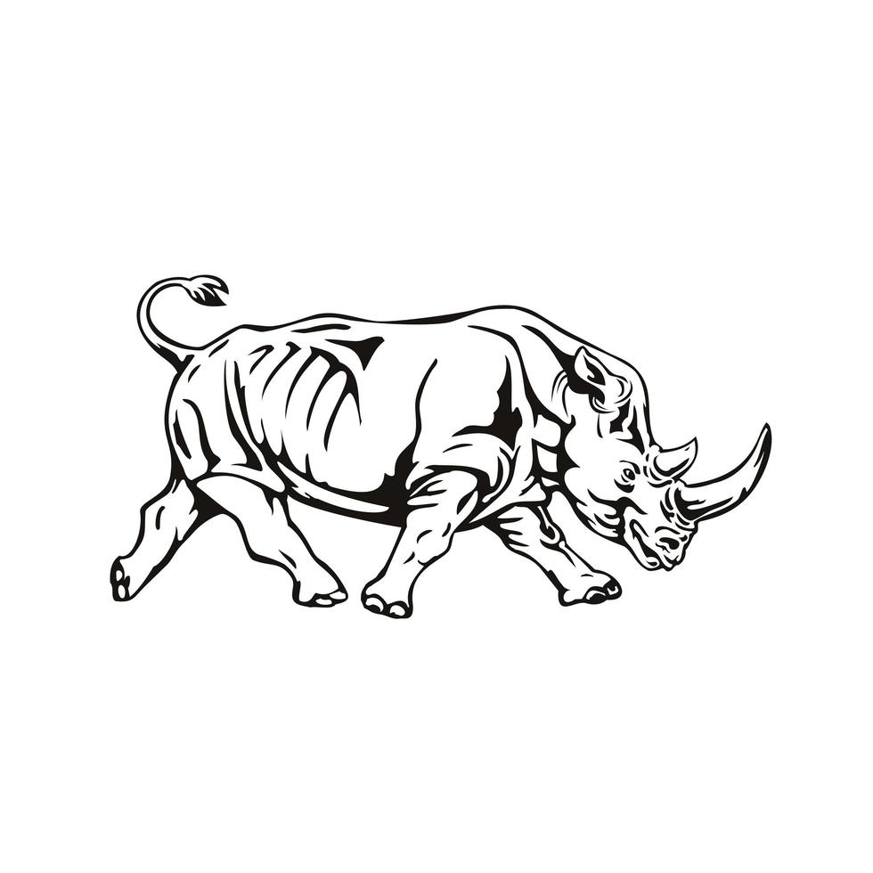 norra vit noshörning eller noshörning med fyrkantiga läppar vektor
