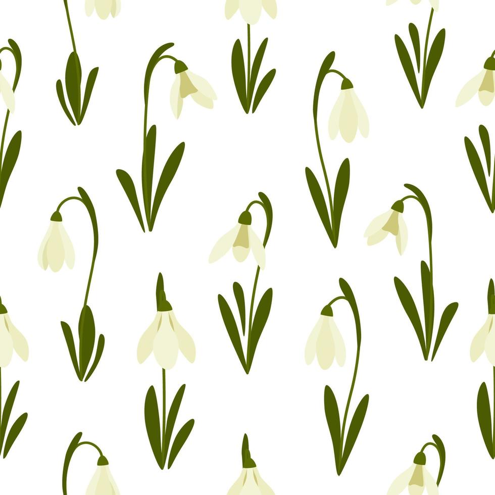 sömlös mönster snödroppar blomma på vår vit bakgrund. skriva ut för din design. vektor illustration.