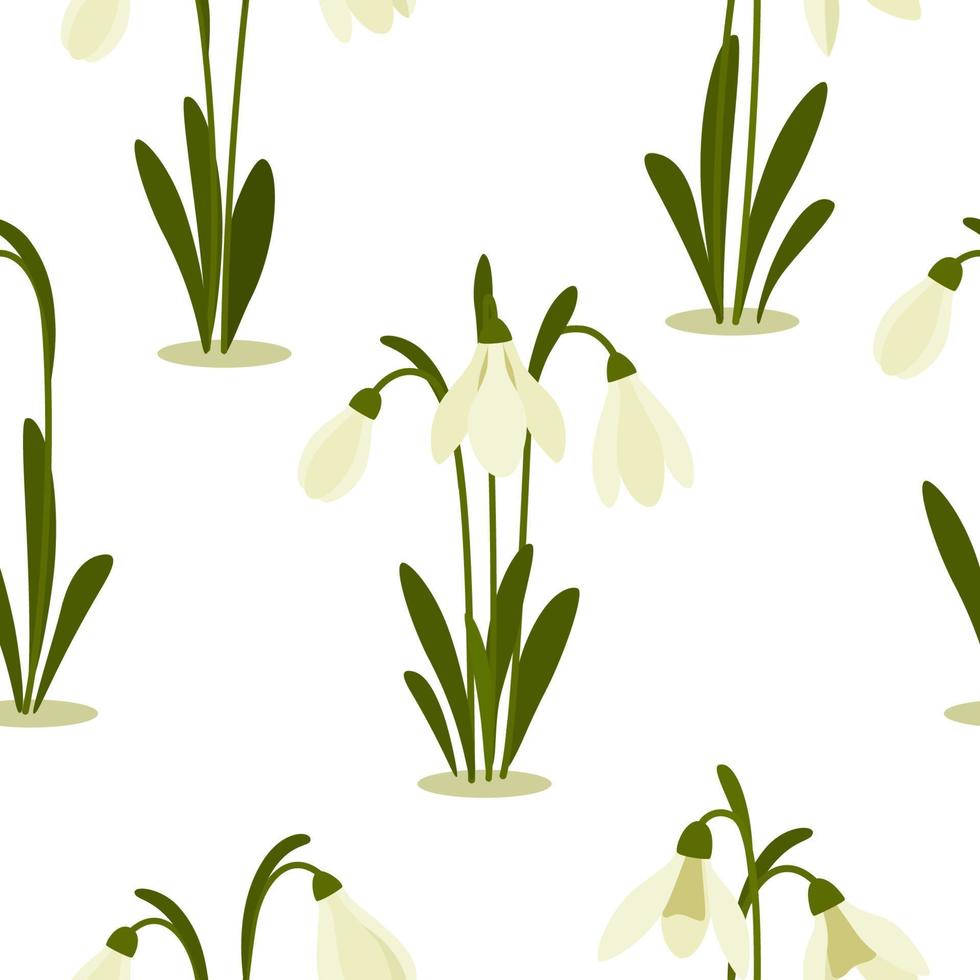 nahtlose musterschneeglöckchenblume auf frühlingsweißem hintergrund. Druck für Ihr Design. Vektor-Illustration. vektor