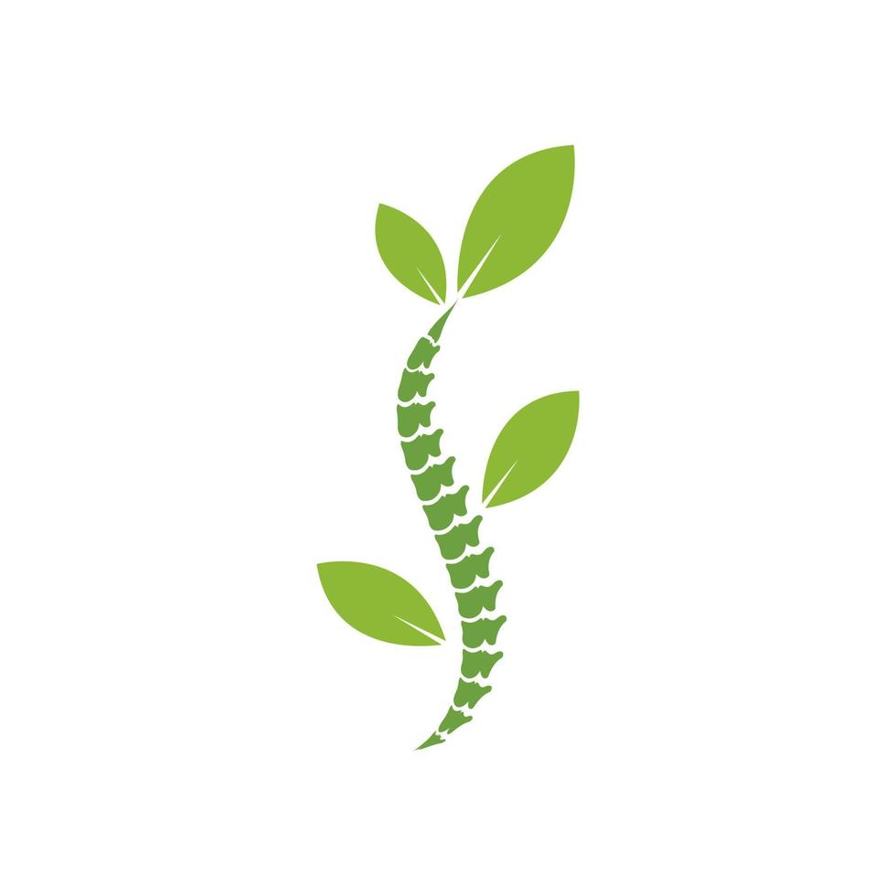 Wirbelsäulendiagnostik Logo Symbol Vorlage Vektor Illustration