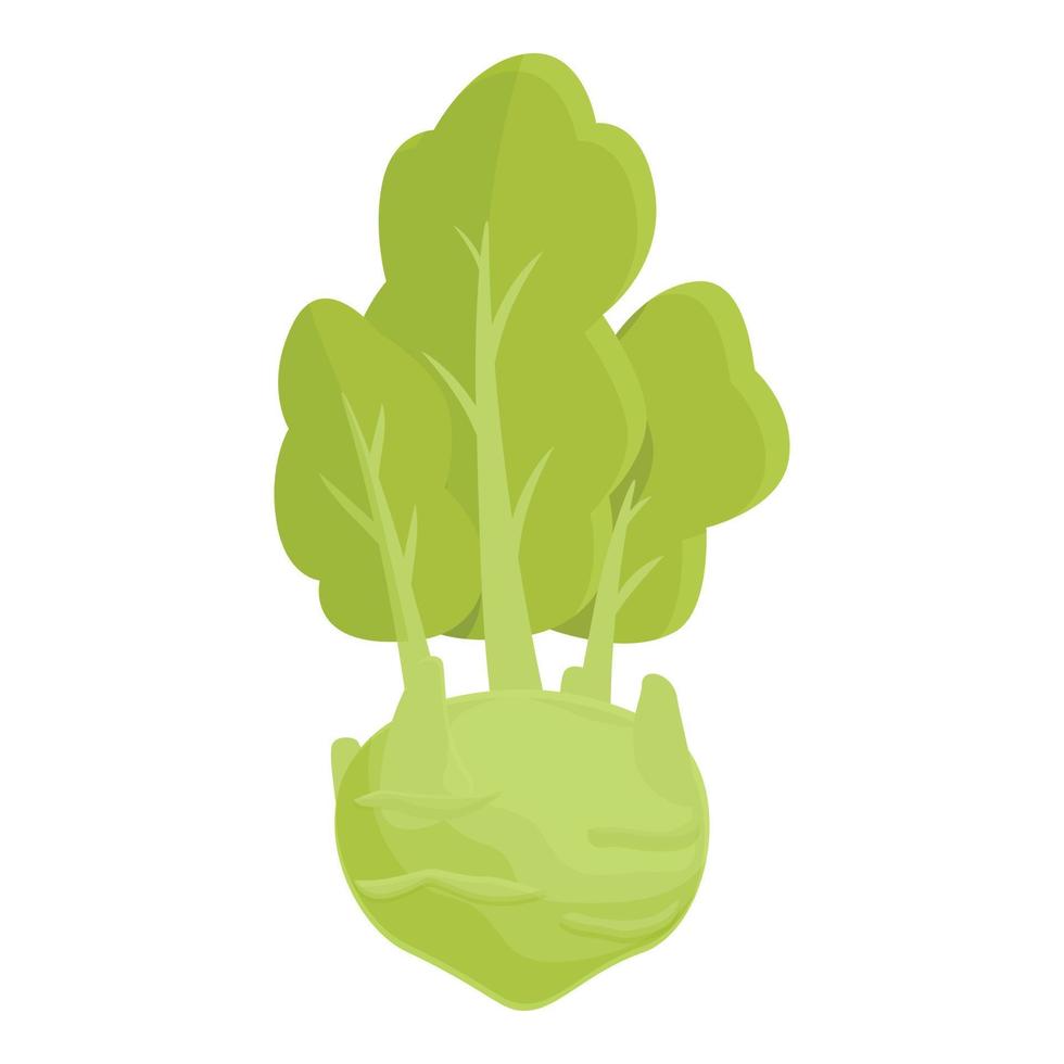 Bauernhof Kohlrabi Symbol Cartoon Vektor. gesundes Essen vektor