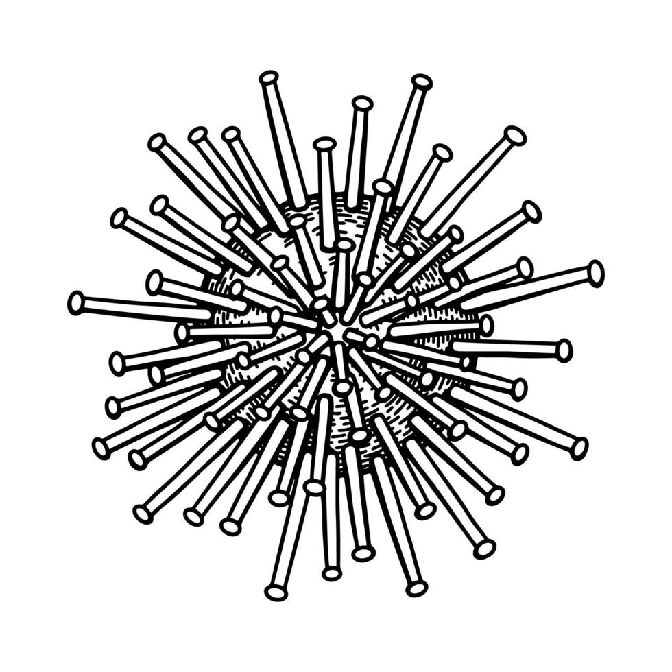 hand dragen herpes virus isolerat på vit bakgrund. realistisk detaljerad vetenskapliga vektor illustration i skiss stil