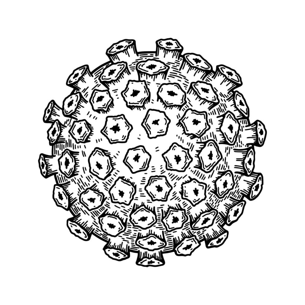 papillomavirus isolerat på vit bakgrund. hand dragen realistisk detaljerad vetenskapliga vektor illustration i skiss stil