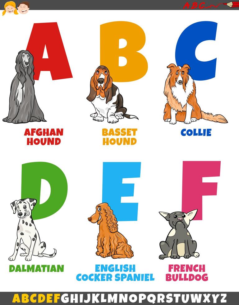 tecknad alfabetsamling med renrasiga hundar vektor