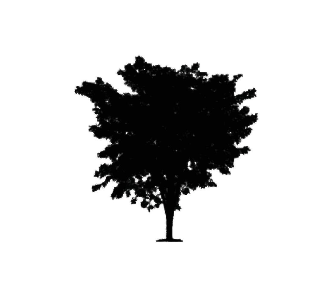 Baum-Silhouette-Vektor-Illustration vektor