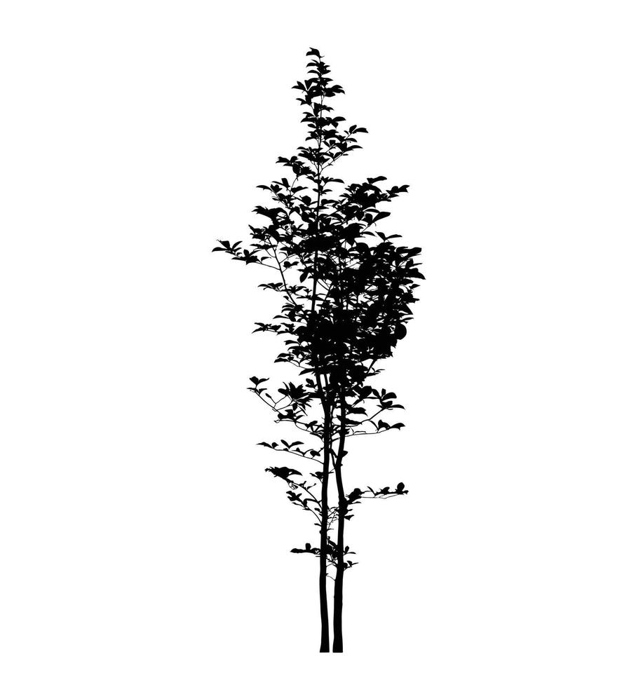 träd silhuett vektor illustration