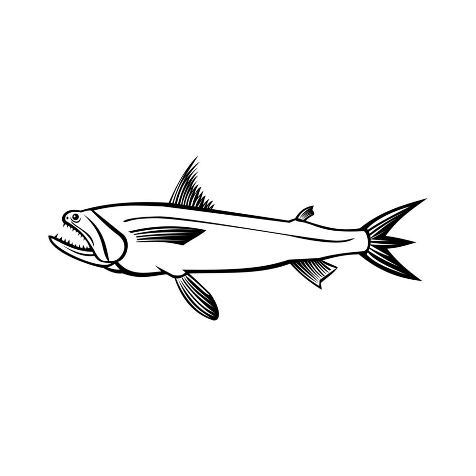 Bombay Entenfisch Harpadon Nehereus Bummalo, Bombil Boomla oder seltsame Fisch Seitenansicht Schablone schwarz und weiß Retro vektor