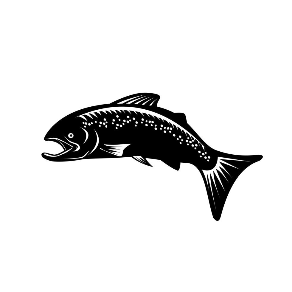 prickig öring fisk hoppning träsnitt retro svart och vitt vektor