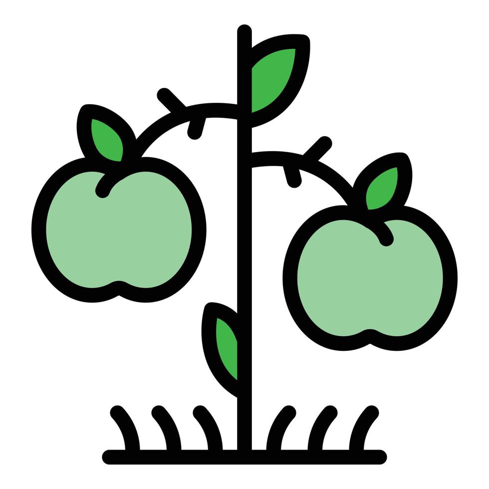 Apple Tree Producer Symbol Farbe Umriss Vektor