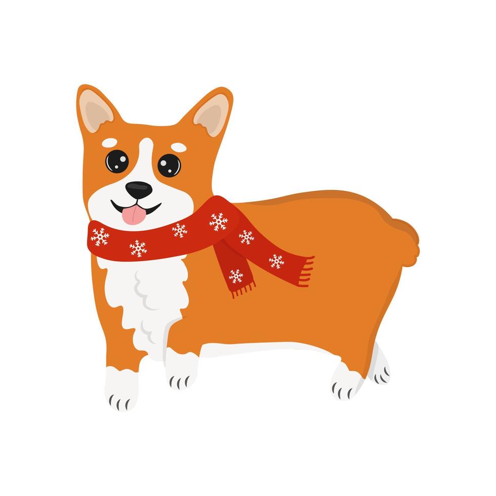 corgi i en röd scarf. corgi hund vektor tecknad serie illustration. söt vänlig welsh corgi valp, isolerat på vit bakgrund.