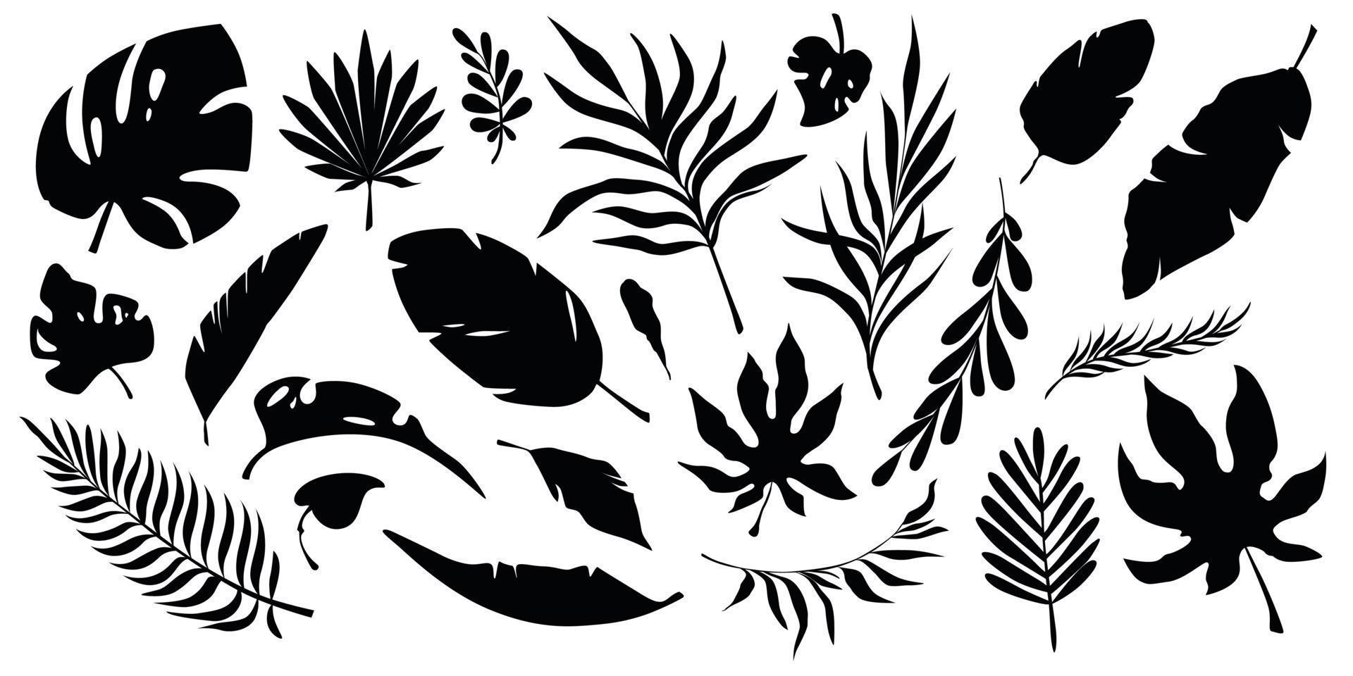 Satz schwarze Silhouetten tropischer Blätter. Blätter von Bananenbaum, Palme, Monstera und Sträuchern. vektor