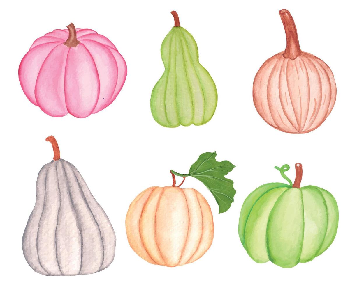 Aquarell-Kürbis-Clipart-Set, Herbst-Kürbis-Set, Kürbis-Vektor vektor