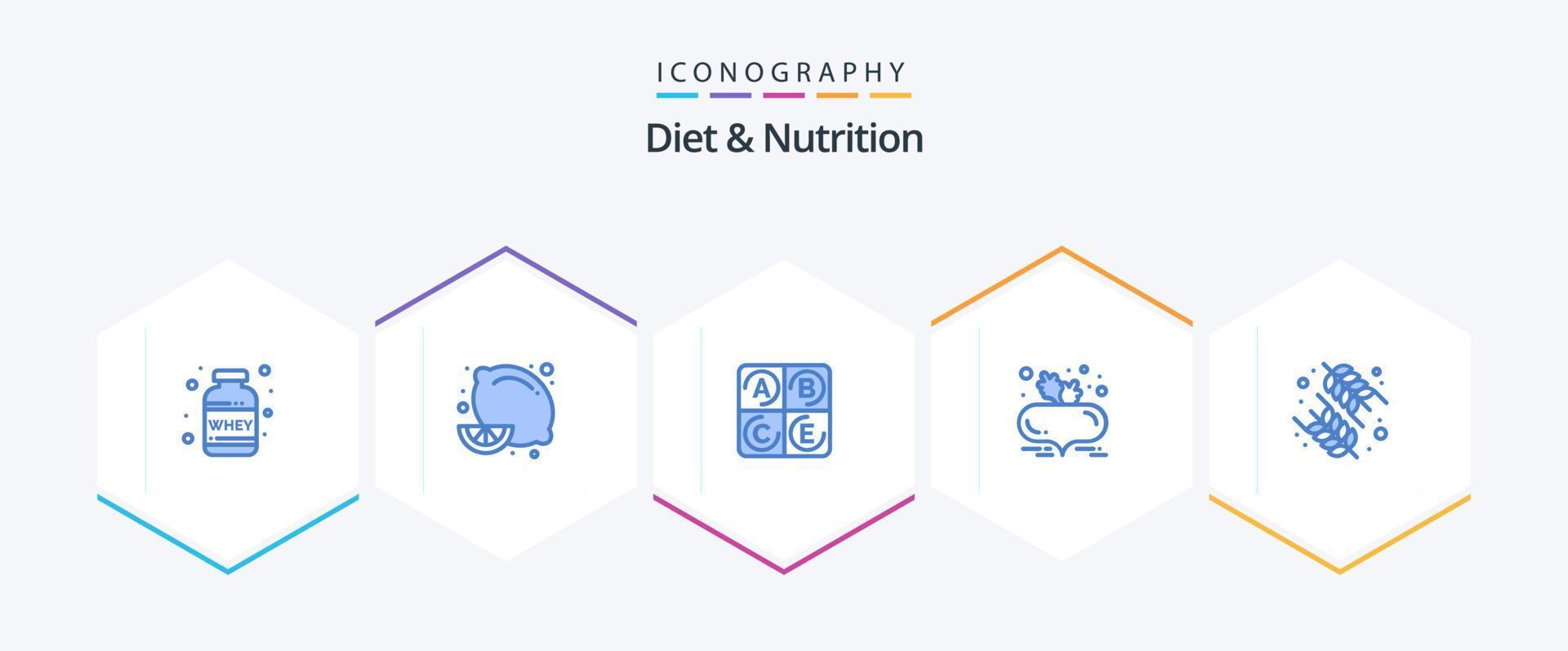 diet och näring 25 blå ikon packa Inklusive friska. diet. diet. friska diet. rödbeta vektor