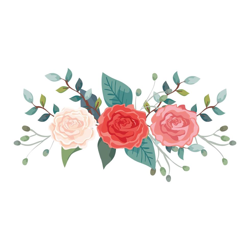 söta rosor med grenar och blad isolerad ikon vektor