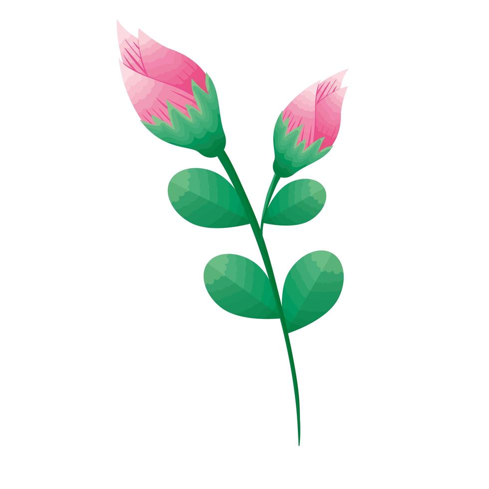 rosa schöne Rosen Blumen und Blätter dekorative Ikonen vektor