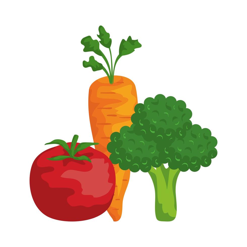 Ikonen des gesunden Gemüses des frischen Gemüses vektor