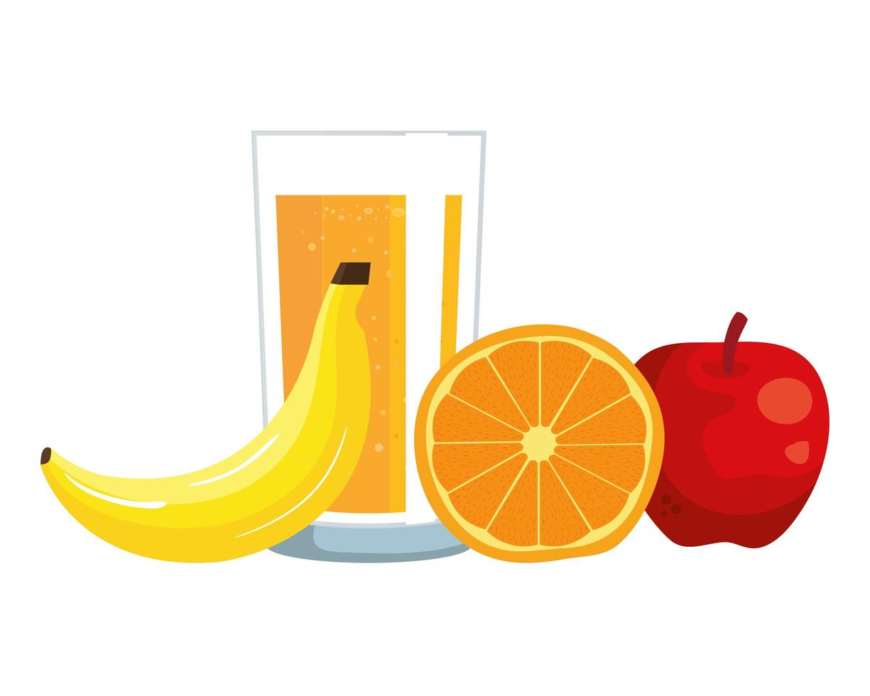 apelsinjuice med glas och frukt vektor