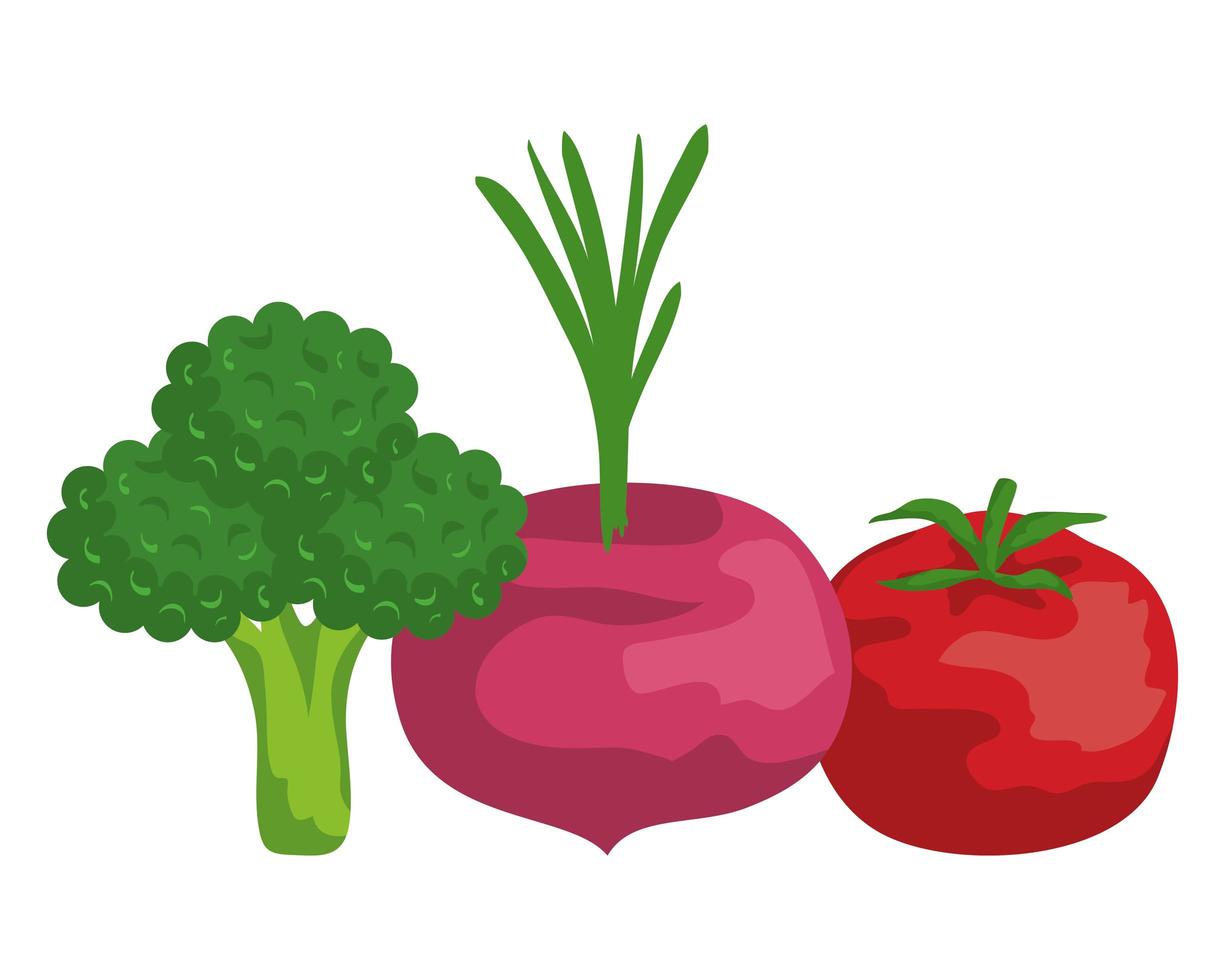 färska grönsaker hälsosam mat ikoner vektor