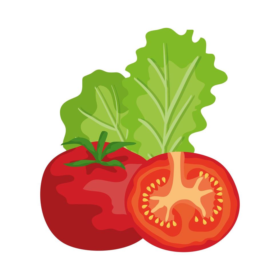 frische Tomaten und Salatgemüse gesund vektor