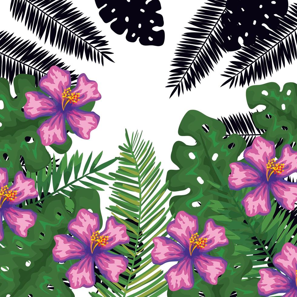exotiska blad och blommor tropiskt mönster vektor