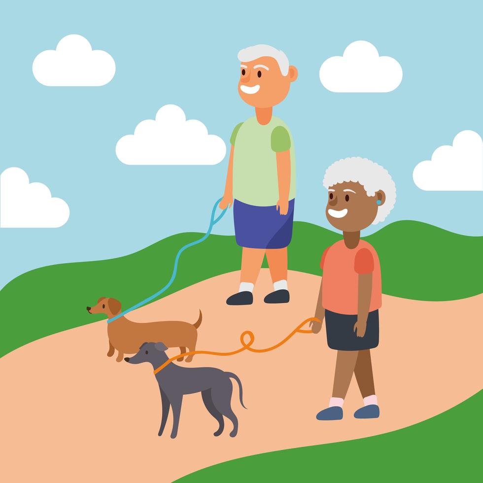 Interracial altes Ehepaar geht die Hunde, aktive Senioren Charaktere vektor
