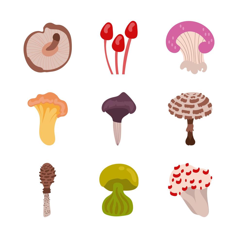 Pilz und Pilz Icon Set vektor