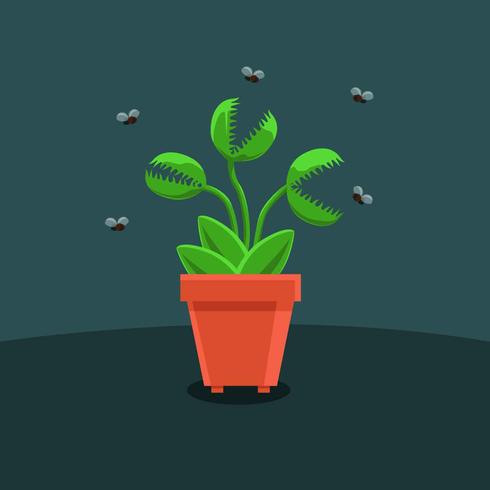 Venus Fly Trap flache Vektor-Illustration vektor