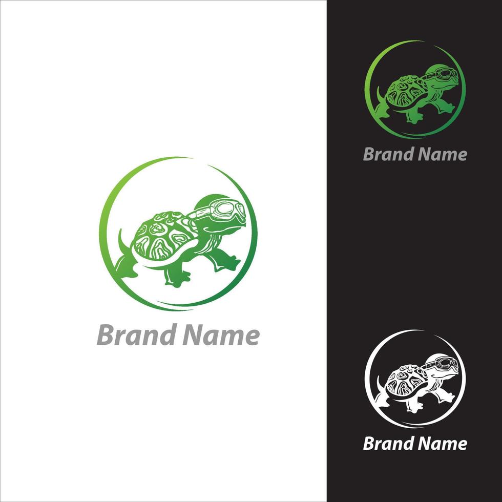 sköldpadda bär glasögon vektor illustration av en vilda djur och växter djur- logotyp design