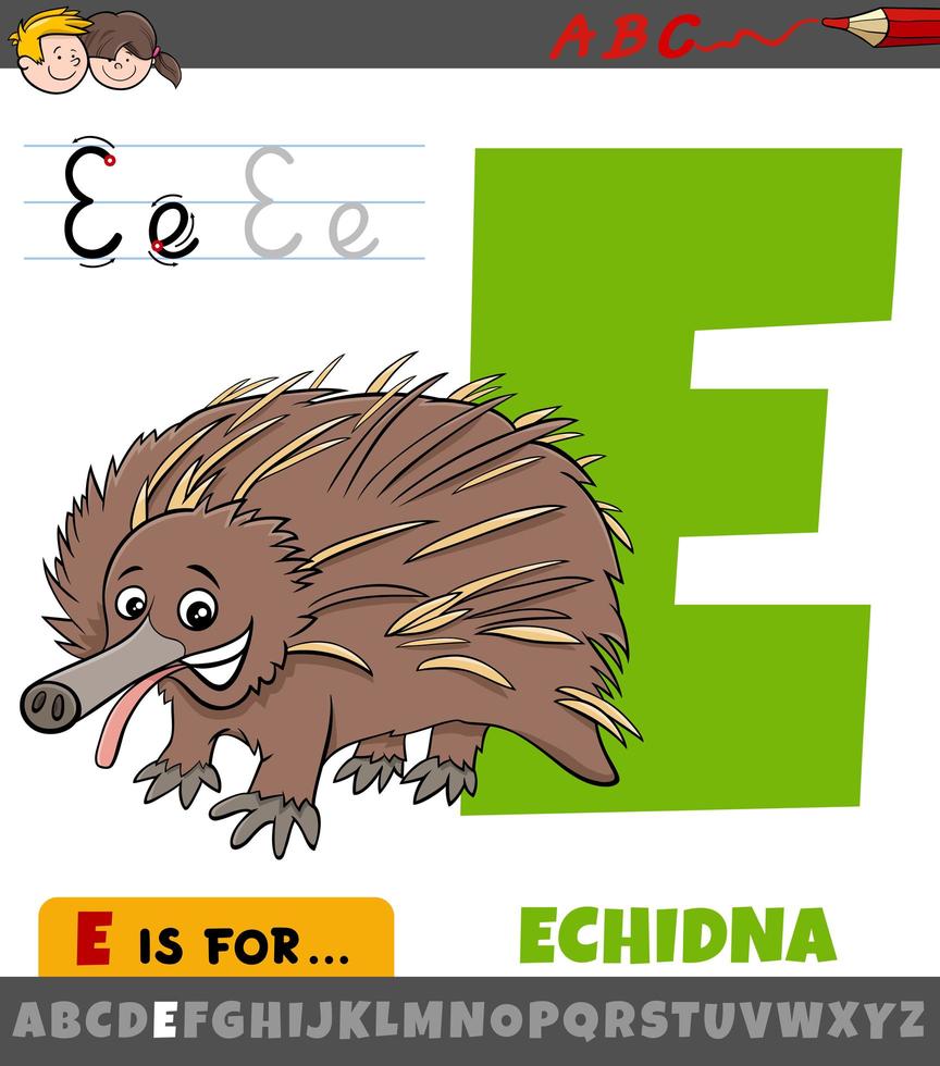 Buchstabe e aus dem Alphabet mit Cartoon-Echidna-Tier vektor