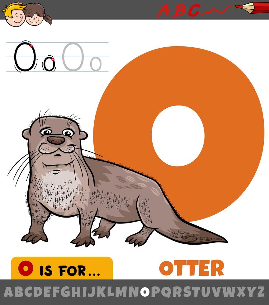 Buchstabe o aus dem Alphabet mit Otter Tiercharakter vektor