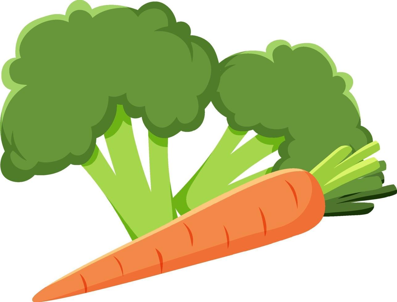 broccoli och morotgrönsak på vit bakgrund vektor