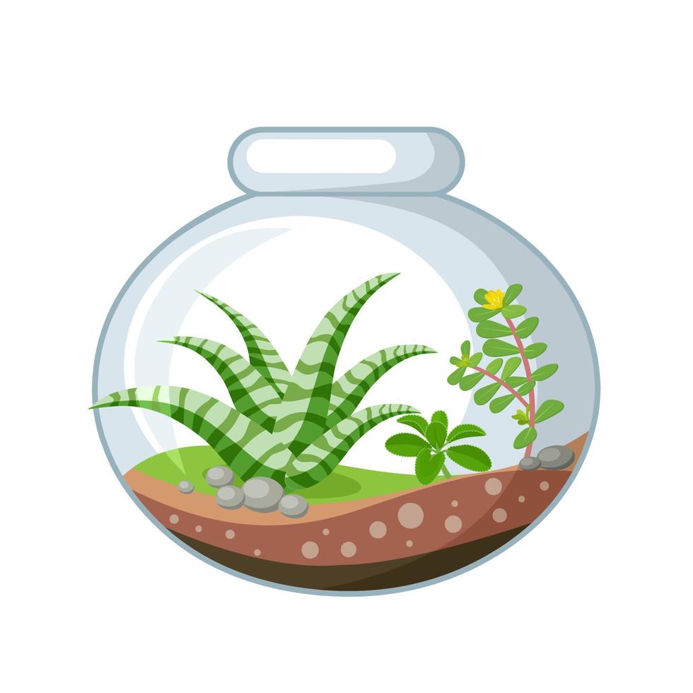 vektor illustration, söt terrarium i en glas burk, isolerat på vit bakgrund.