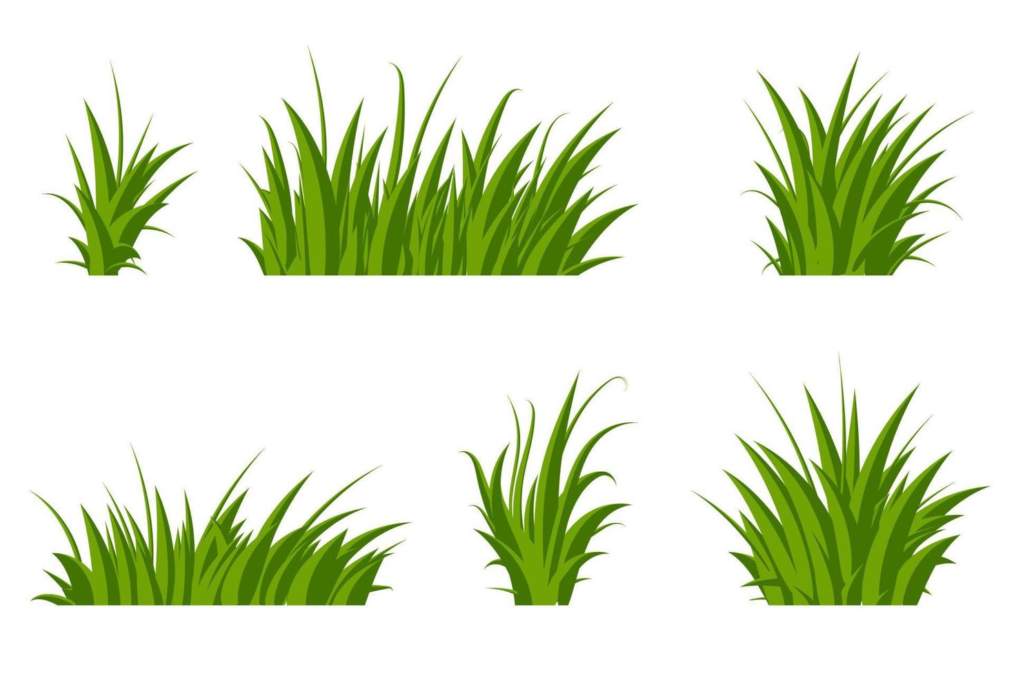 uppsättning av grön gräs. gräs buskar av annorlunda former. hand dragen gräs. grön gräs. vektor illustration