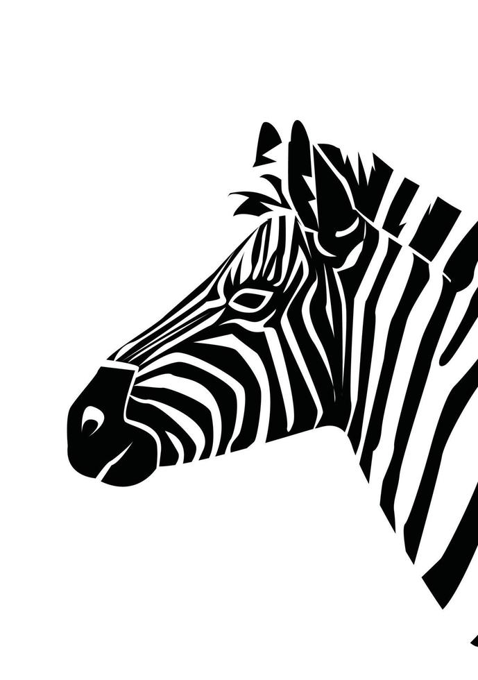 Zebra-Illustrationsdesign vektor