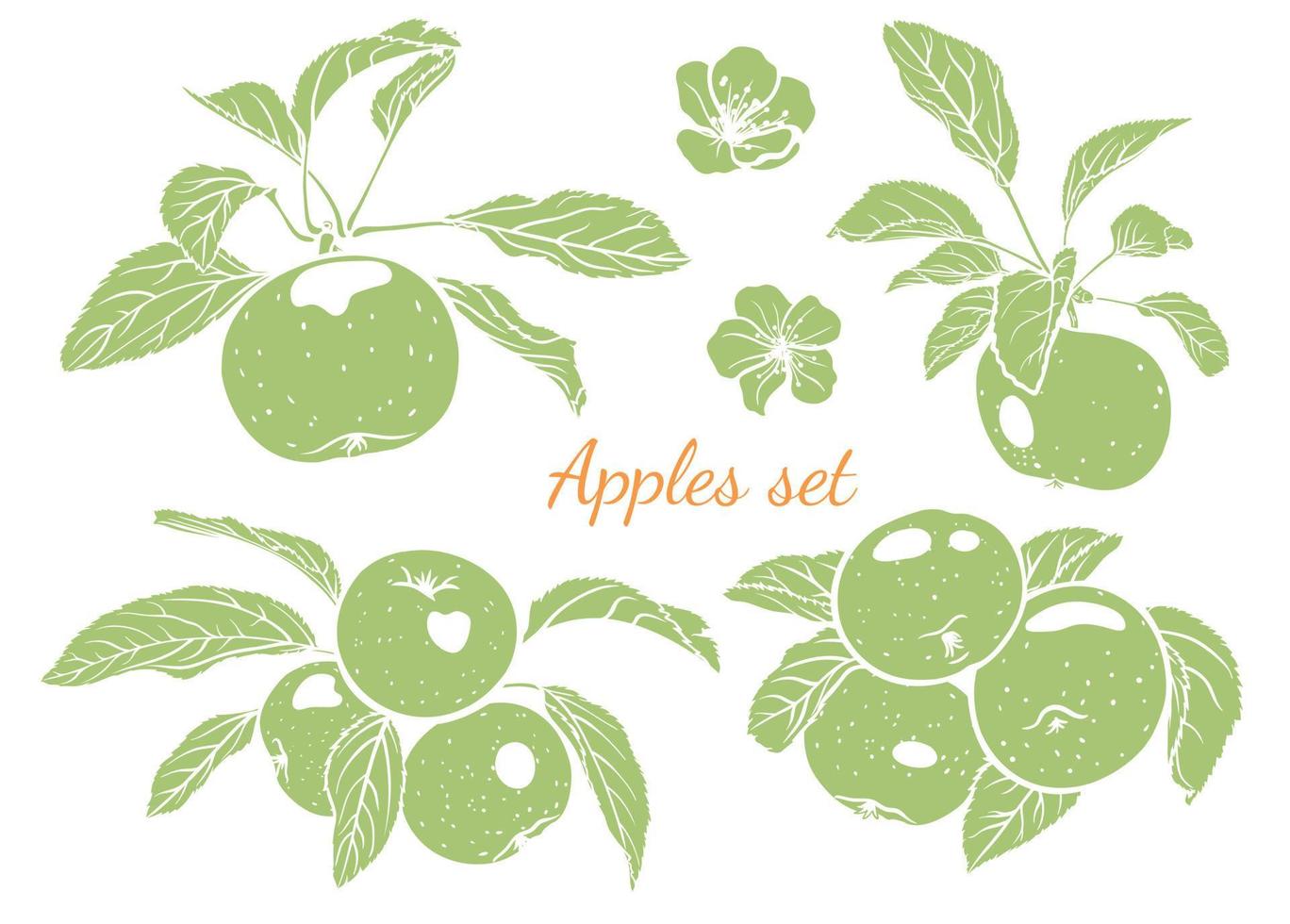 handgezeichnete einfarbige äpfel, ihre blätter und blüten. grafische Zeichnung von Äpfeln, Vektorillustration vektor