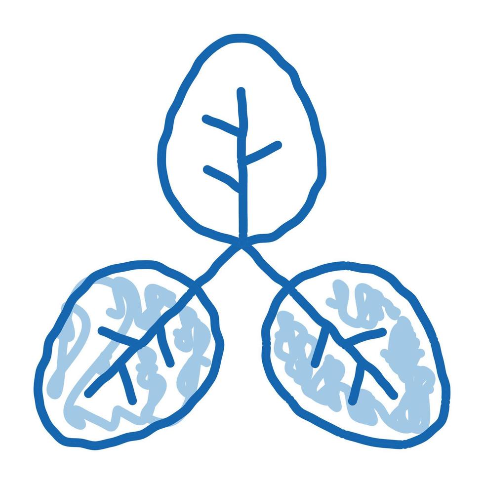 buschableger pflanze verlässt gezeichnete illustration des gekritzelsymbols hand vektor