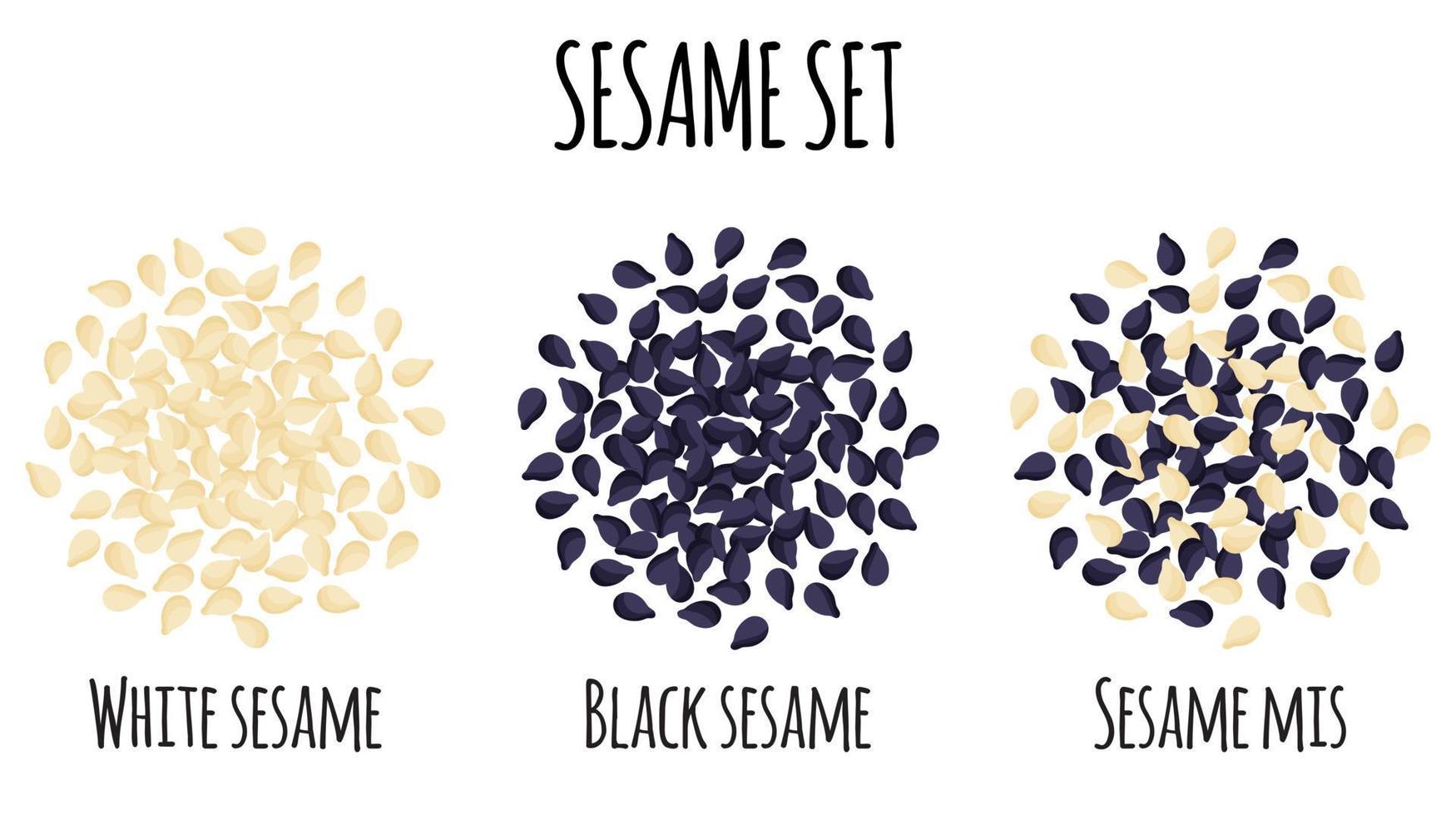 Sesamset mit weißem, schwarzem und gemischtem Sesam. vektor