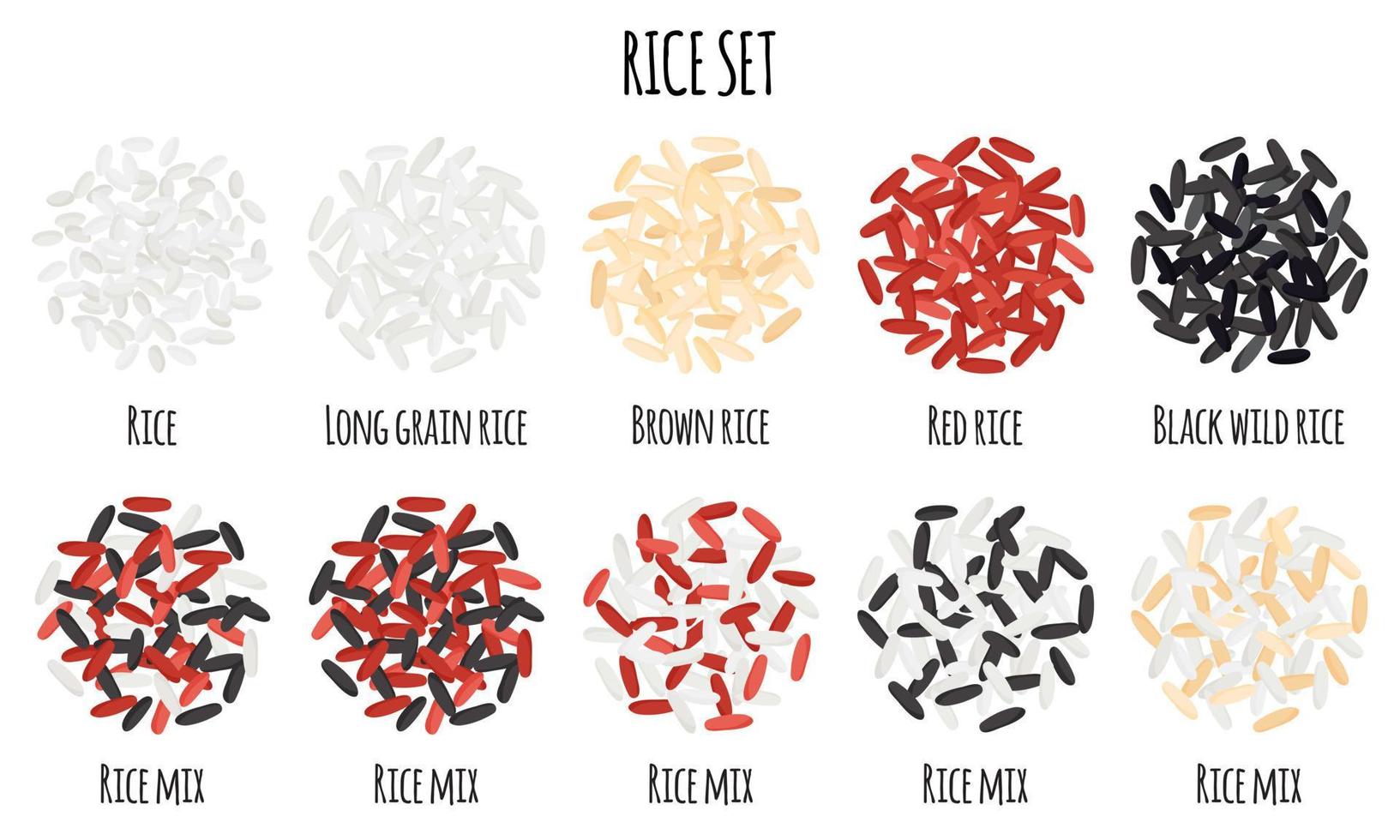 ris uppsättning med vit, röd, brun, svart vild och lång spannmål ris. vektor