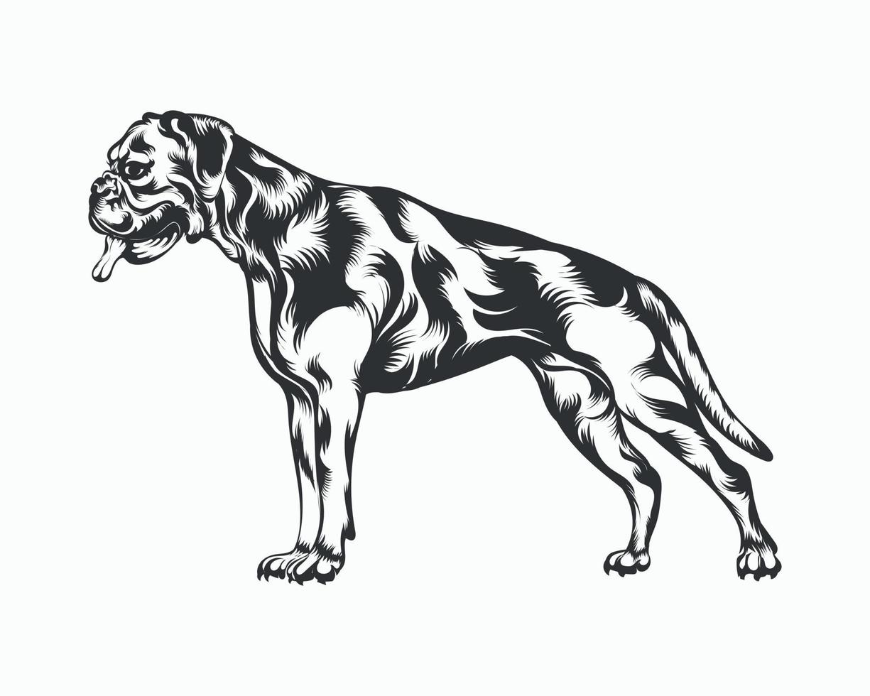 Boxer-Hund-Vektor-Illustration, Boxer-Hund-Vektor auf weißem Hintergrund vektor