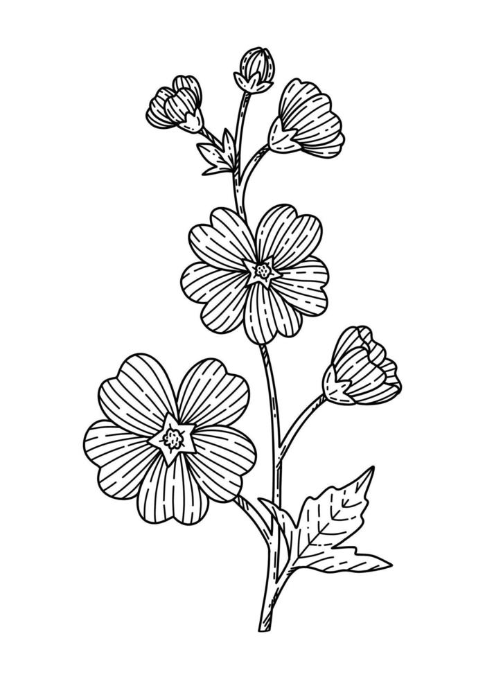 översikt malva blomma vektor illustration hand dragen i skiss stil