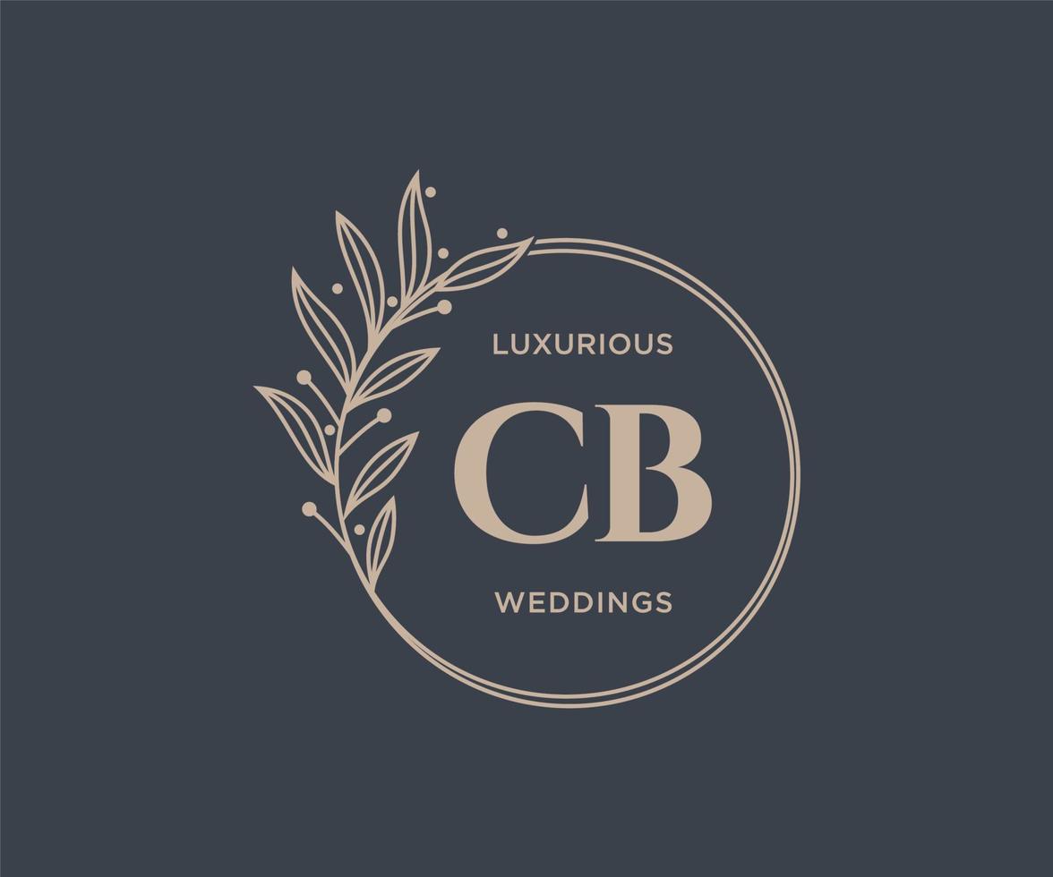 cb initialer brev bröllop monogram logotyper mall, hand dragen modern minimalistisk och blommig mallar för inbjudan kort, spara de datum, elegant identitet. vektor
