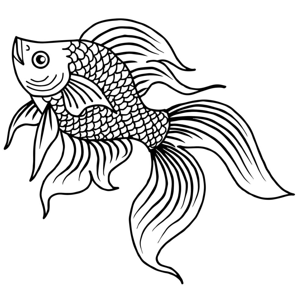 design illustration skizzieren asiatischen goldfisch vektor