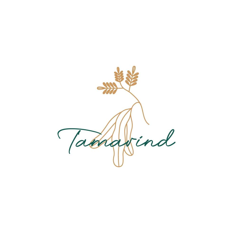 tamarind färsk för hälsa vård och skönhet vård och mat gott recept krydda logotyp design vektor ikon illustration mall